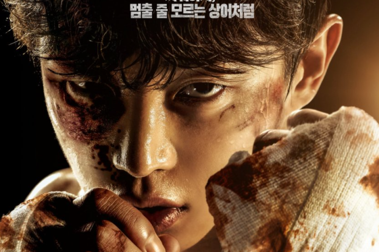 Synopsis & Watching Link Shark 2: The Storm (2025) English Sub Full Episode 1-6 For Free, Kim Min Seok Shows Off His Strength