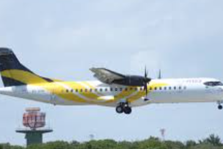 Tragic! Voepass Plane Crash Falls Spiral in Brazil 2024, All Passengers Unsaved!
