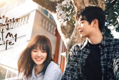 Synopsis of Chinese Drama The Best Day of My Life (2024), A True Love Story with an Old Friend