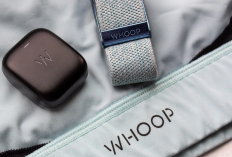 UPDATE Whoop Promo Code May 20 21 22, 2025: The Best Bonus You Can Get Today!