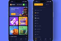 NEW Rainbet Promo Code May 20 21 22, 2025: Extra 10% Bonus to Beat Your Competitors!
